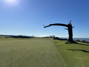 Sheep Ranch 17th Reverse 2024